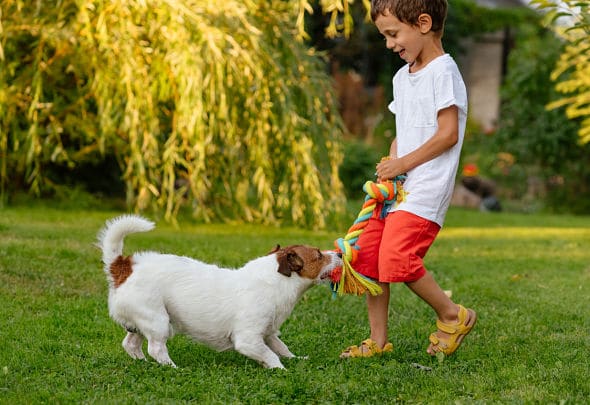 little boy and dog playing